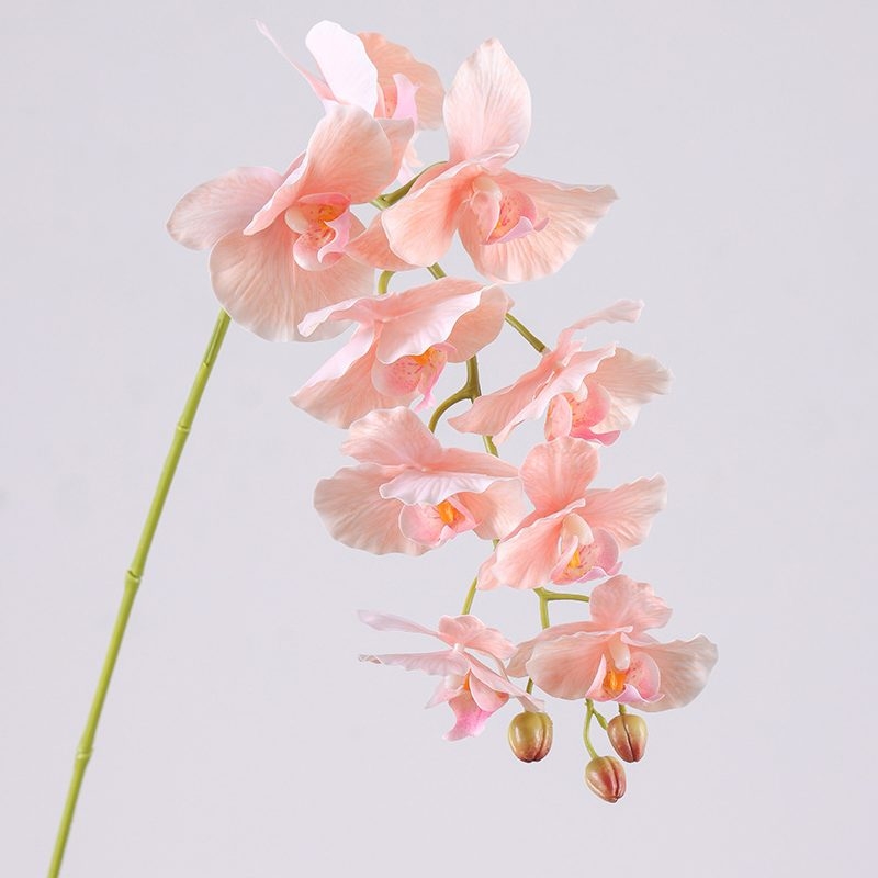 Moisturizing Fake Phalaenopsis Orchid