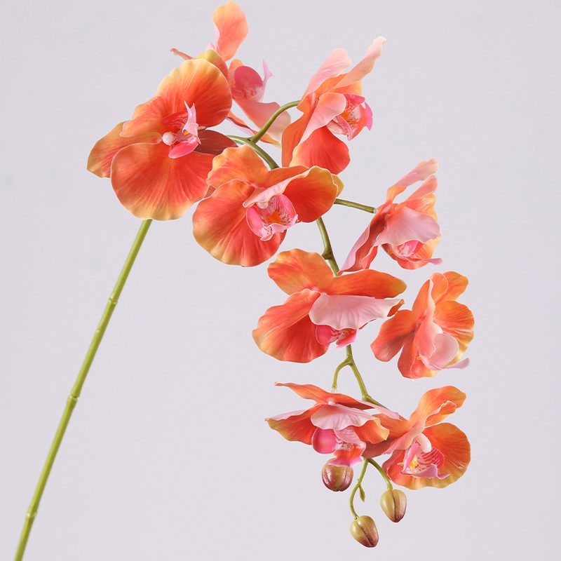 Moisturizing Fake Phalaenopsis Orchid