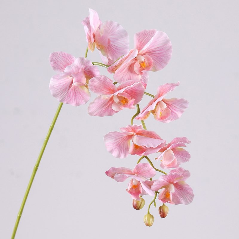 Moisturizing Fake Phalaenopsis Orchid