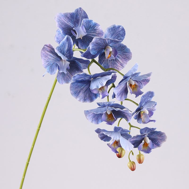 Moisturizing Fake Phalaenopsis Orchid