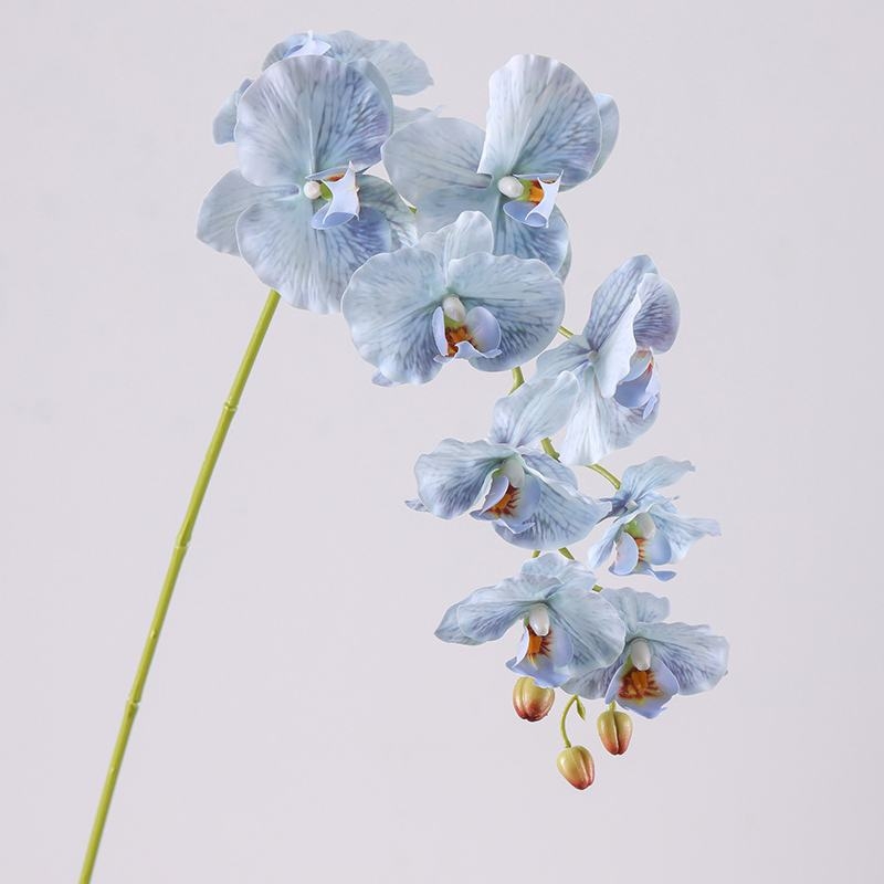 Moisturizing Fake Phalaenopsis Orchid