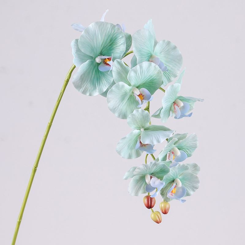 Moisturizing Fake Phalaenopsis Orchid