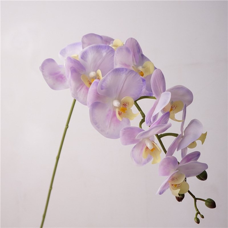 Realistic fake Phalaenopsis orchid