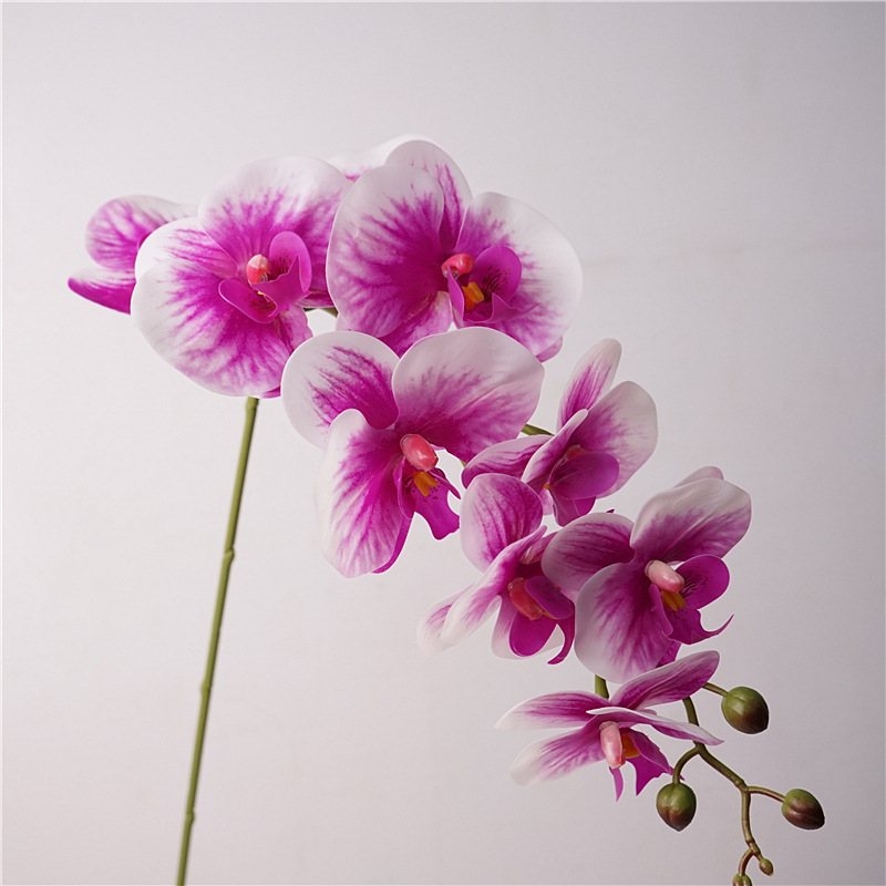 Realistic fake Phalaenopsis orchid