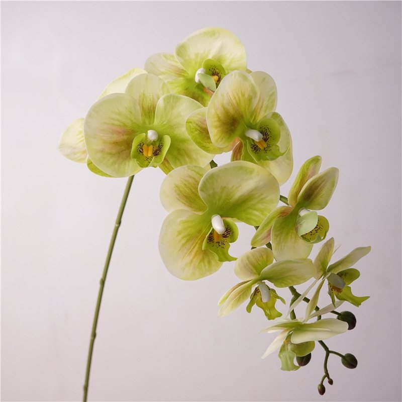 Realistic fake Phalaenopsis orchid