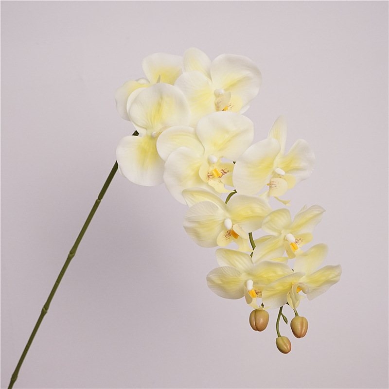 Realistic fake Phalaenopsis orchid