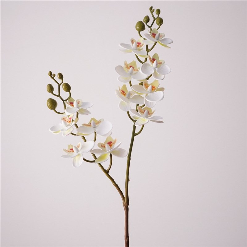Simulated Phalaenopsis orchid with two branches
