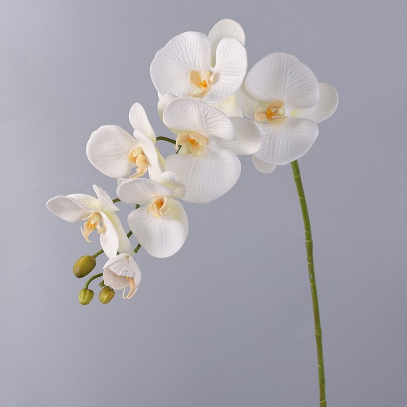 Wholesale artificial Phalaenopsis orchids with 7 flowers