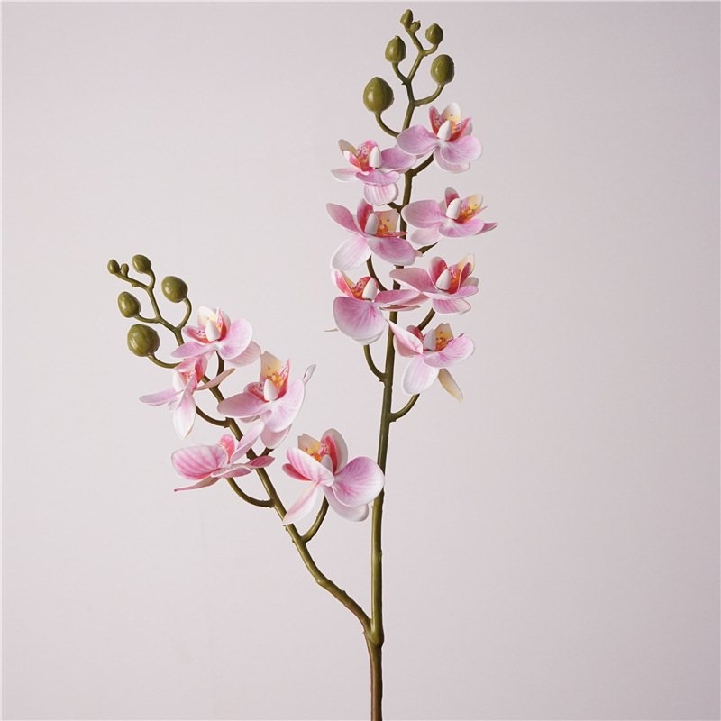 Simulated Phalaenopsis orchid with two branches