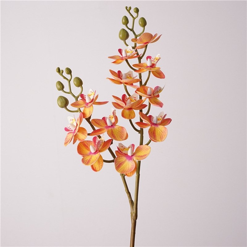 Simulated Phalaenopsis orchid with two branches