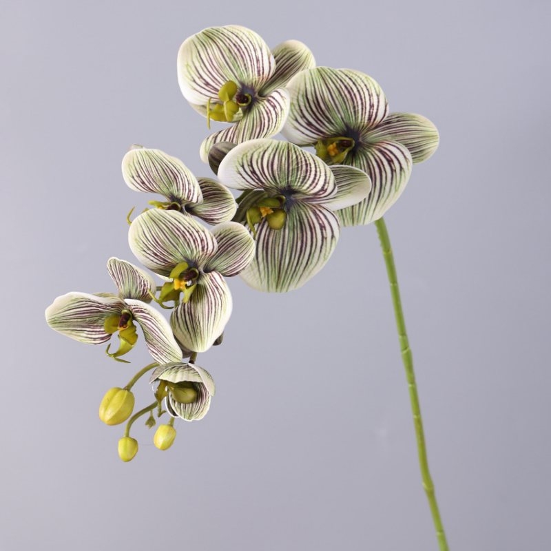 Wholesale artificial Phalaenopsis orchids with 7 flowers