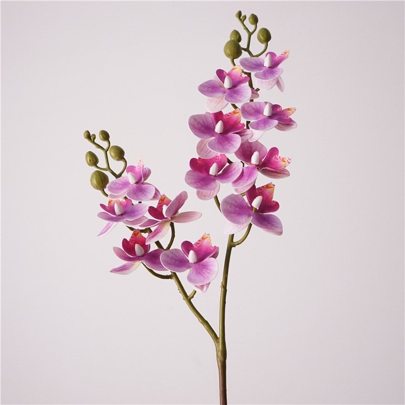 Simulated Phalaenopsis orchid with two branches