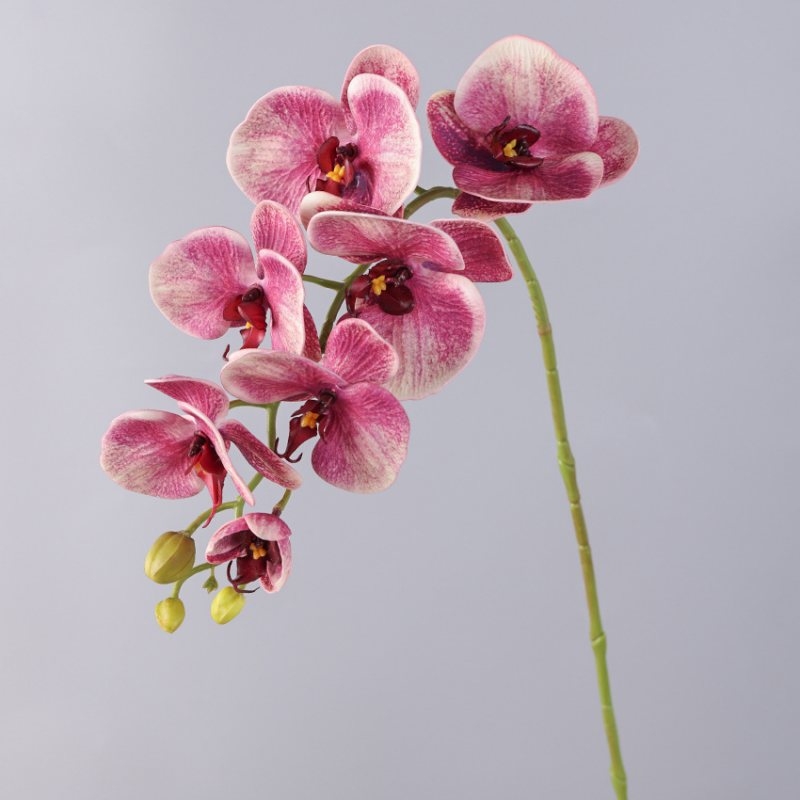 Wholesale artificial Phalaenopsis orchids with 7 flowers