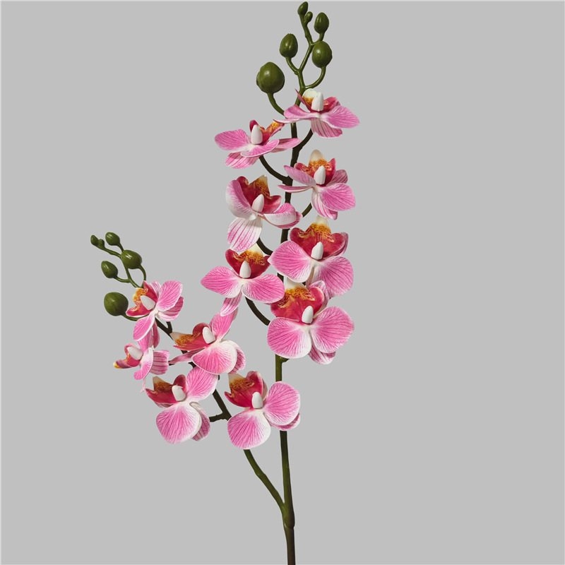 Simulated Phalaenopsis orchid with two branches