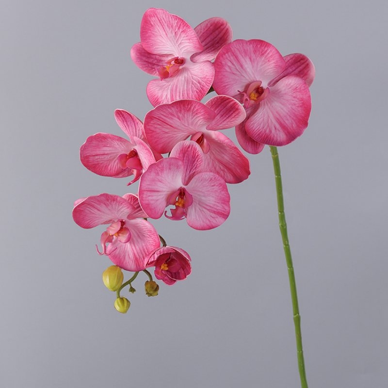 Wholesale artificial Phalaenopsis orchids with 7 flowers