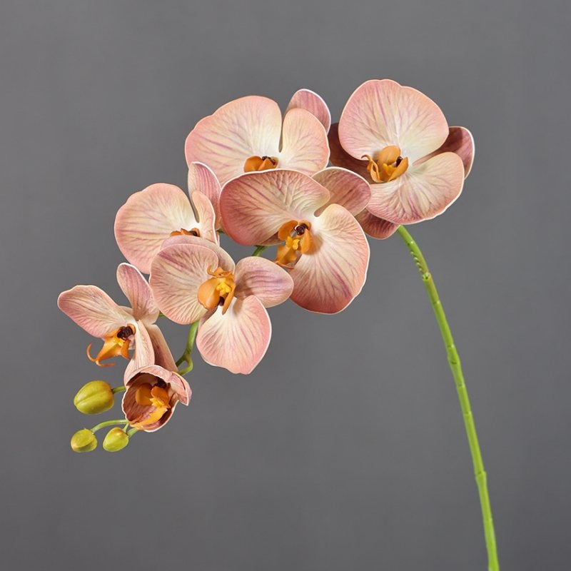 Wholesale artificial Phalaenopsis orchids with 7 flowers
