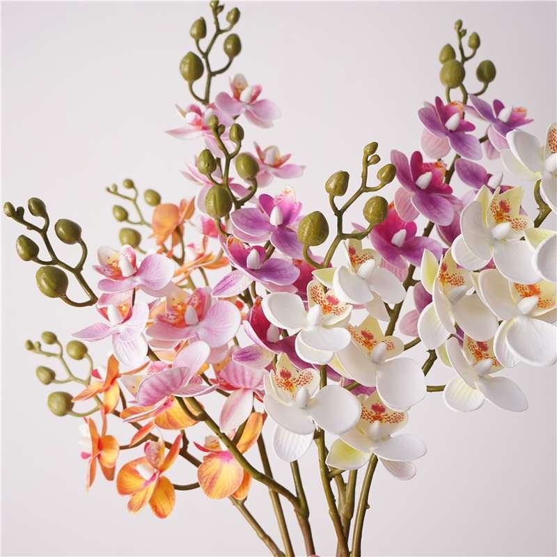 Simulated Phalaenopsis orchid with two branches