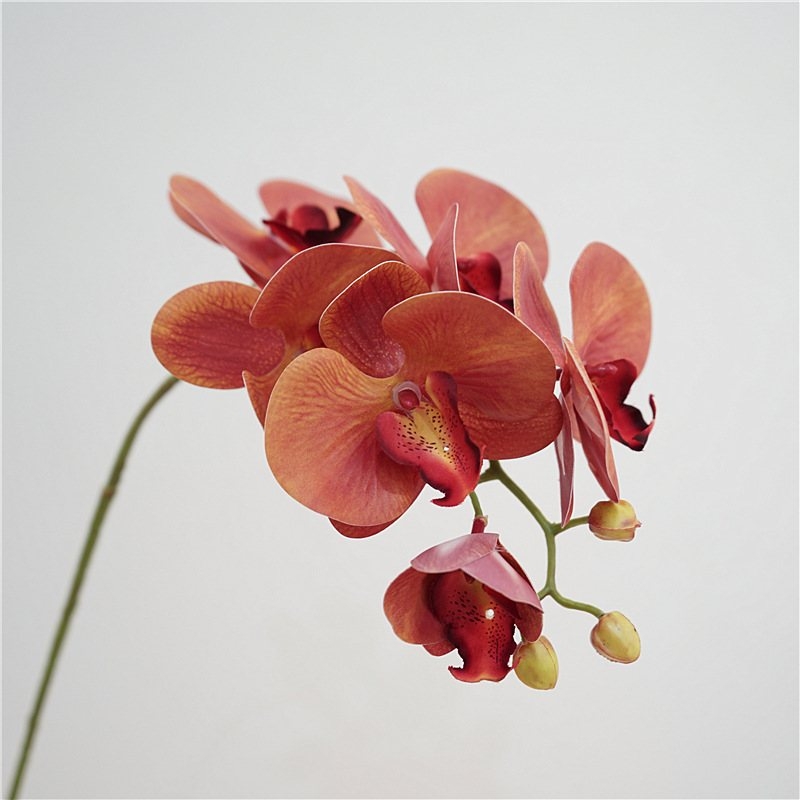 Artificial Phalaenopsis orchid with 6 flowers