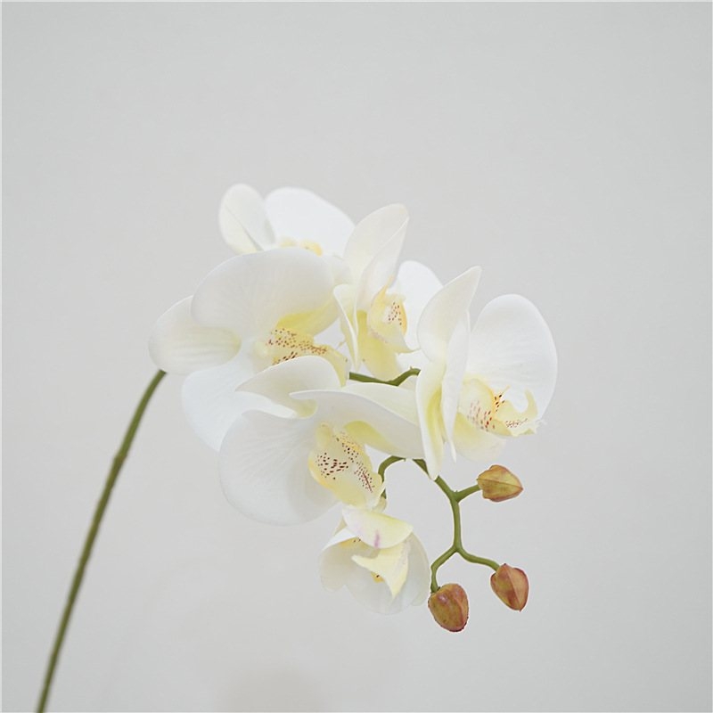 Artificial Phalaenopsis orchid with 6 flowers