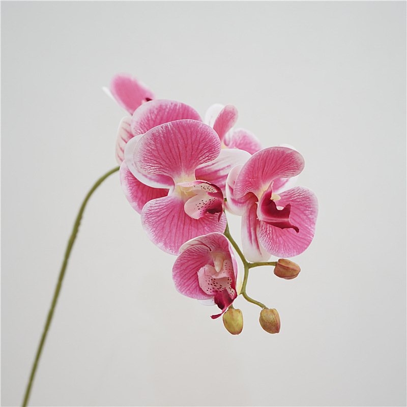 Artificial Phalaenopsis orchid with 6 flowers