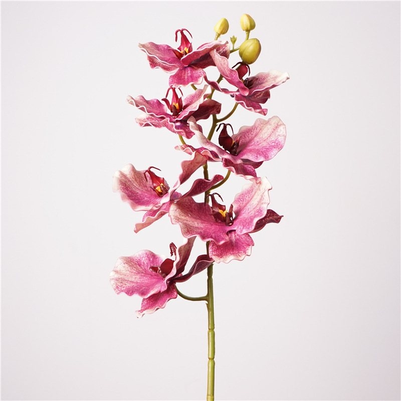 Curly-edged artificial Phalaenopsis orchid