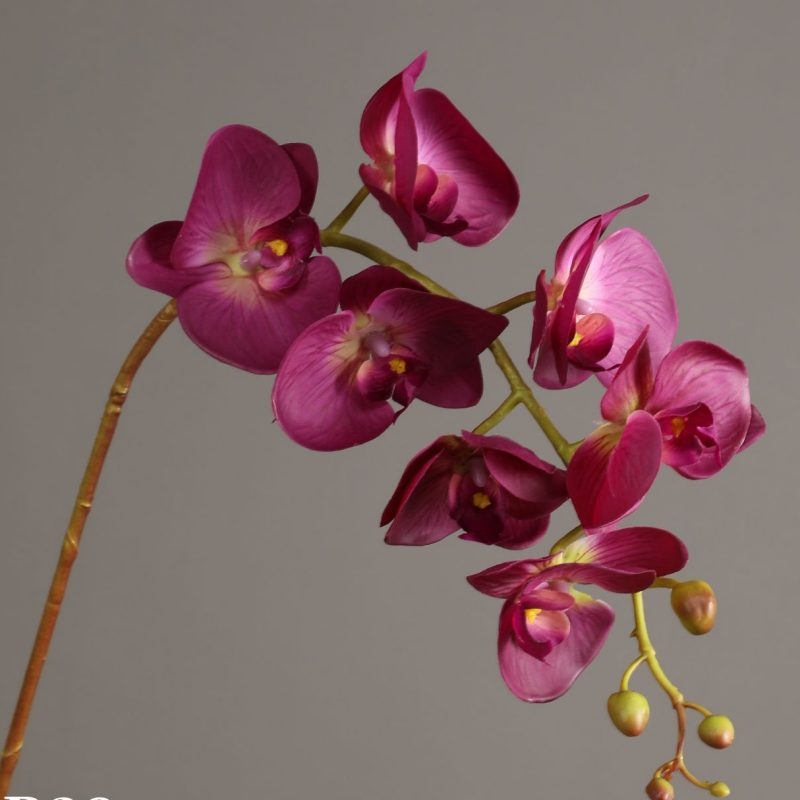 High-quality artificial orchids