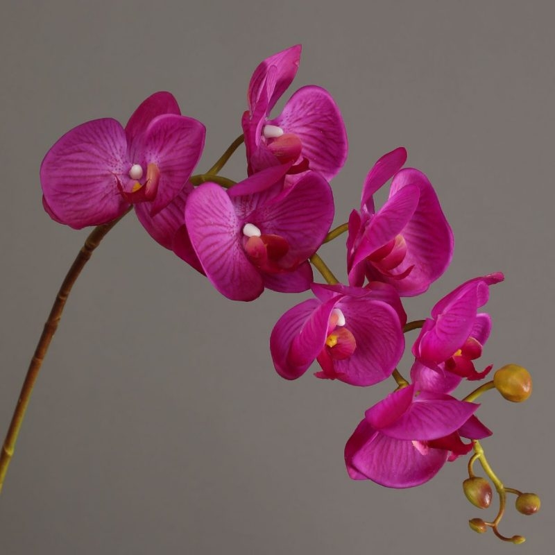 High-quality artificial orchids