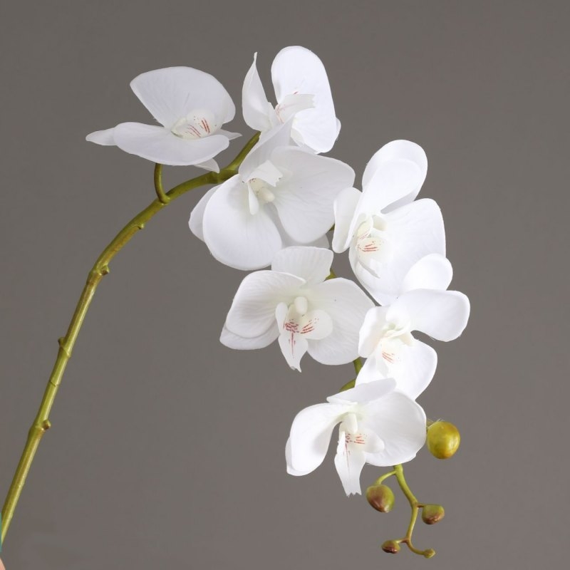 High-quality artificial orchids