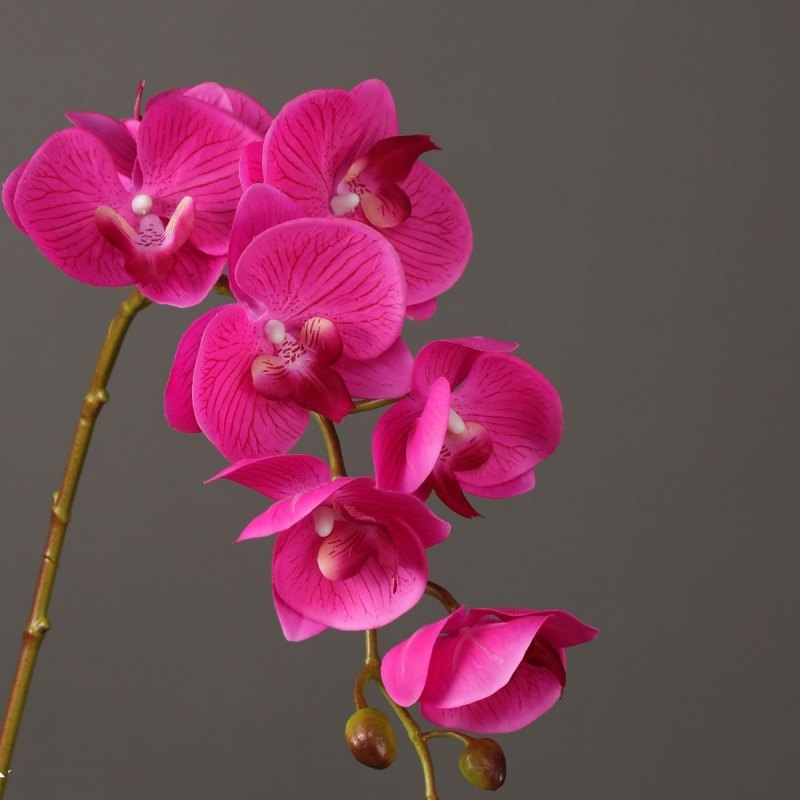 High-quality artificial orchids