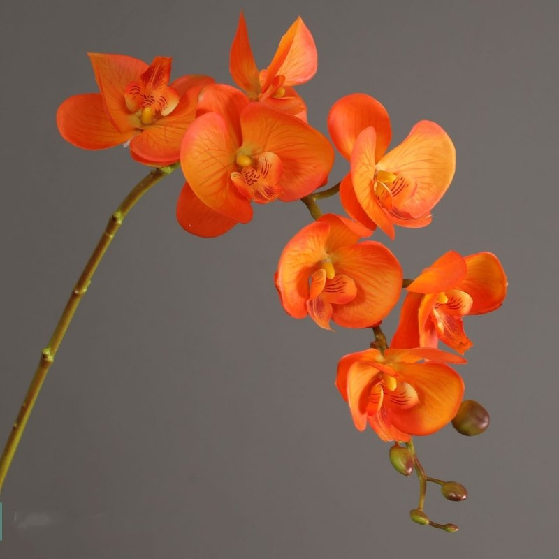 High-quality artificial orchids