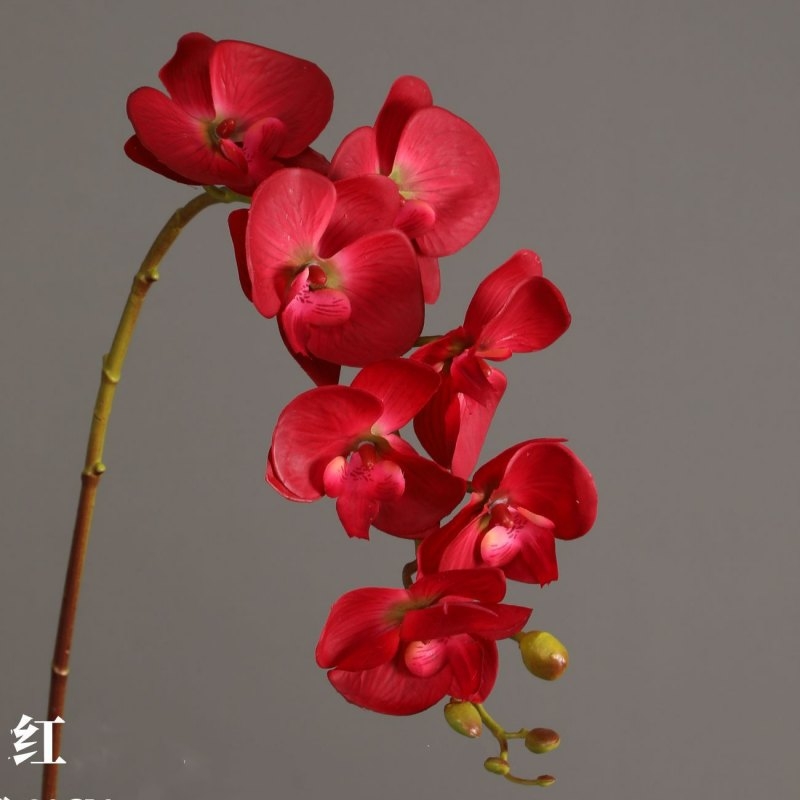 High-quality artificial orchids