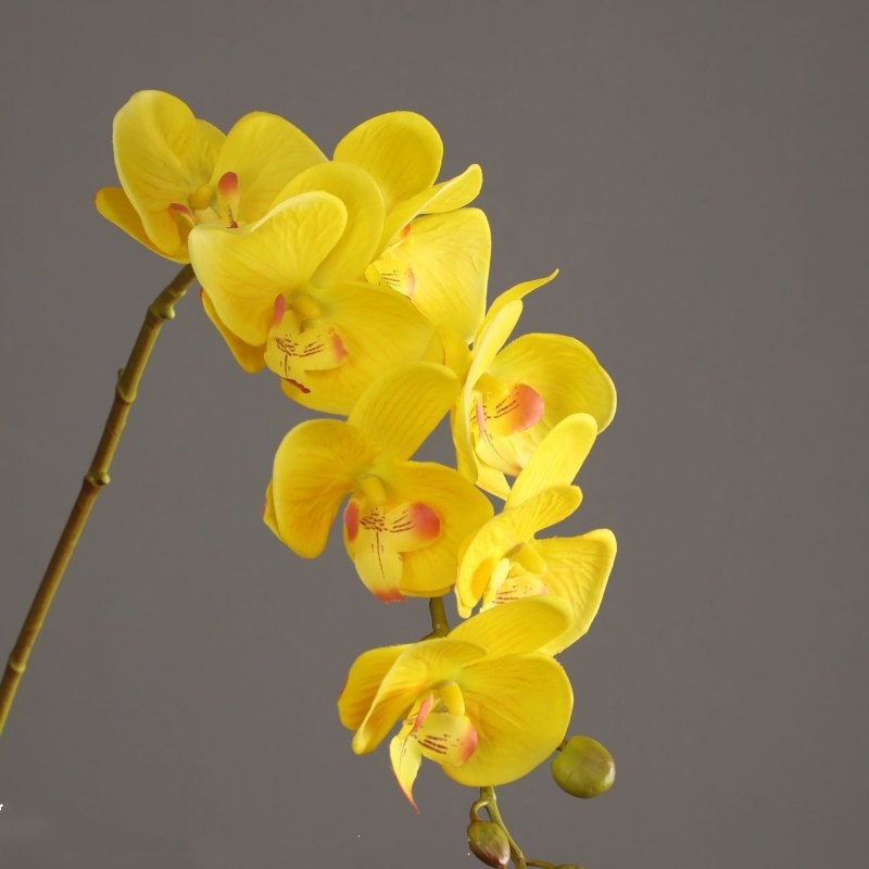 High-quality artificial orchids