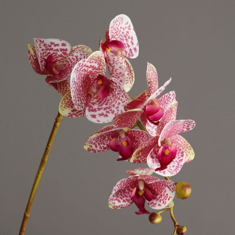 High-quality artificial orchids