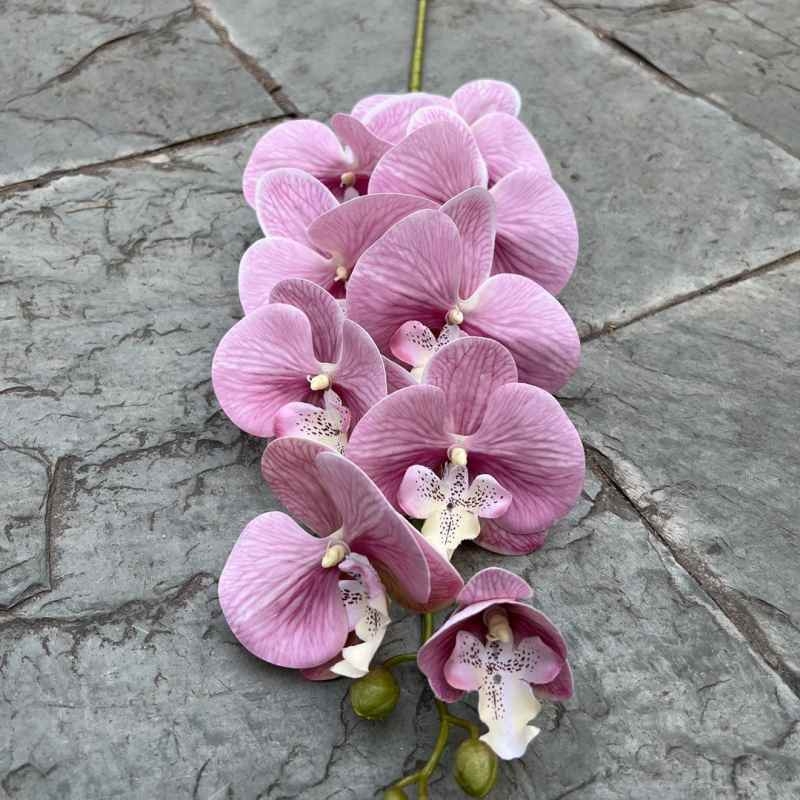 Multi-colored artificial Phalaenopsis orchids with a hand feel