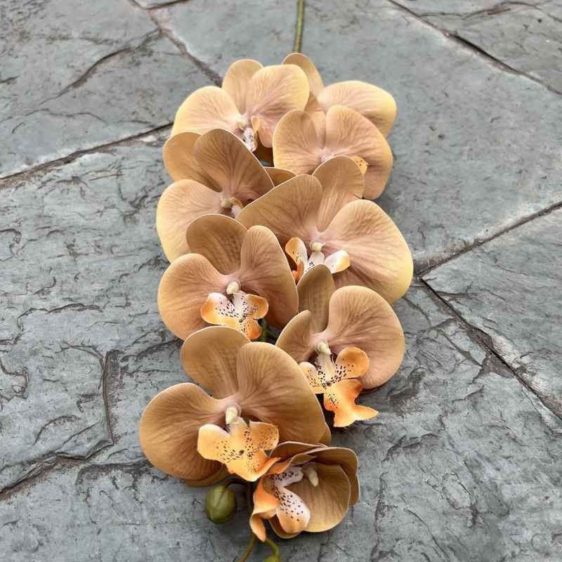 Multi-colored artificial Phalaenopsis orchids with a hand feel