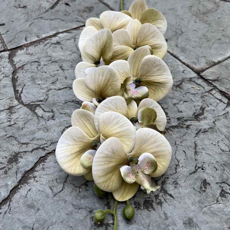 Multi-colored artificial Phalaenopsis orchids with a hand feel