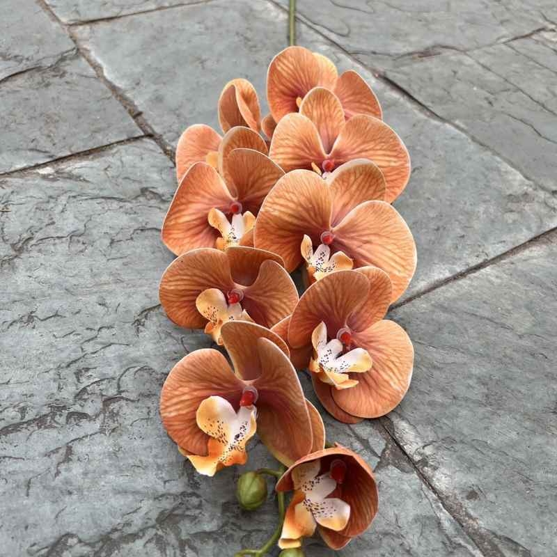 Multi-colored artificial Phalaenopsis orchids with a hand feel