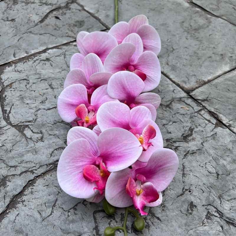 Multi-colored artificial Phalaenopsis orchids with a hand feel