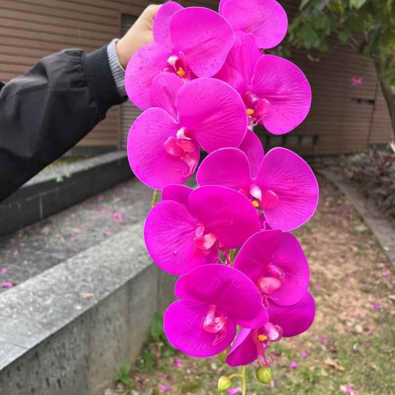 Multi-colored artificial Phalaenopsis orchids with a hand feel