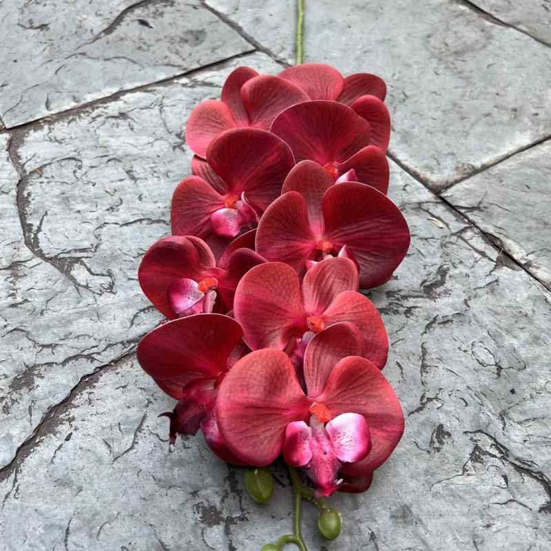 Multi-colored artificial Phalaenopsis orchids with a hand feel