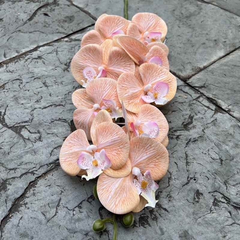Multi-colored artificial Phalaenopsis orchids with a hand feel