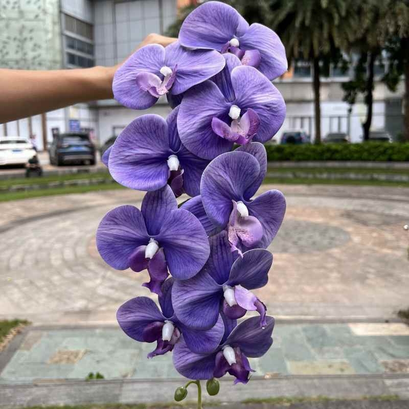 Multi-colored artificial Phalaenopsis orchids with a hand feel