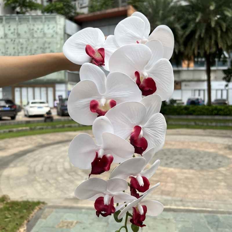 Multi-colored artificial Phalaenopsis orchids with a hand feel
