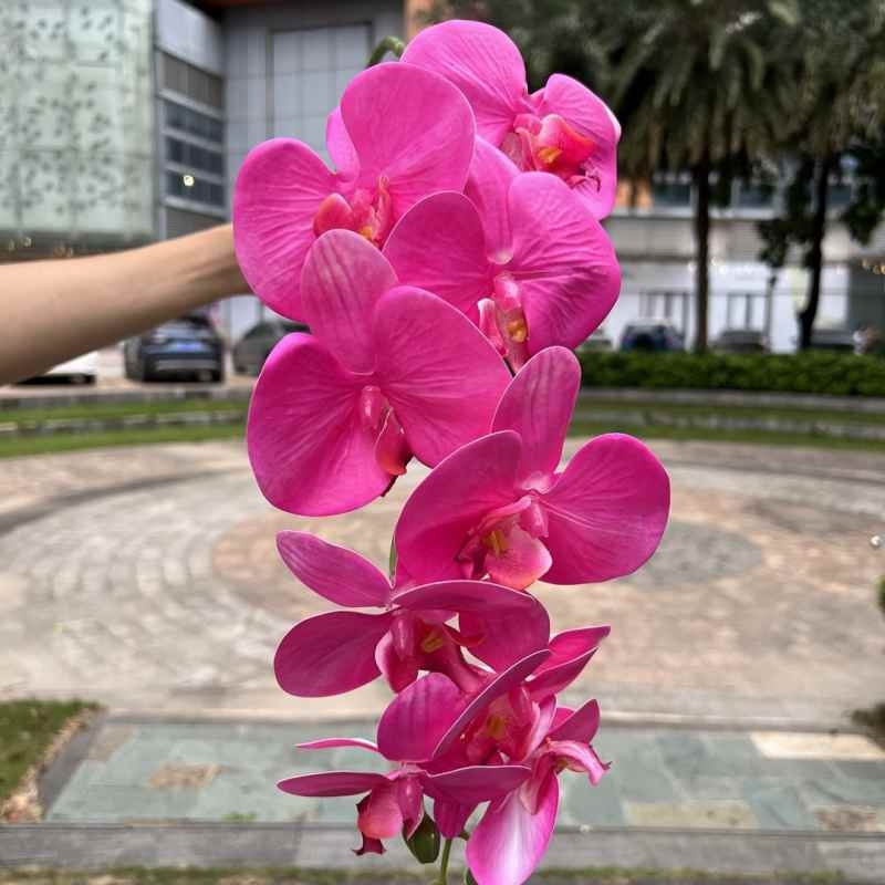 Multi-colored artificial Phalaenopsis orchids with a hand feel