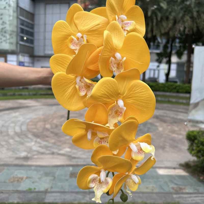Multi-colored artificial Phalaenopsis orchids with a hand feel
