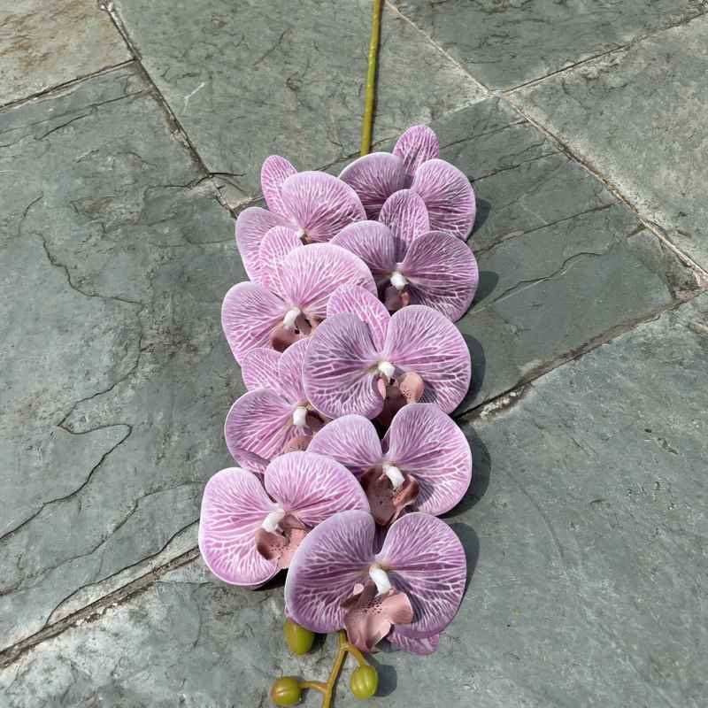 Multi-colored artificial Phalaenopsis orchids with a hand feel