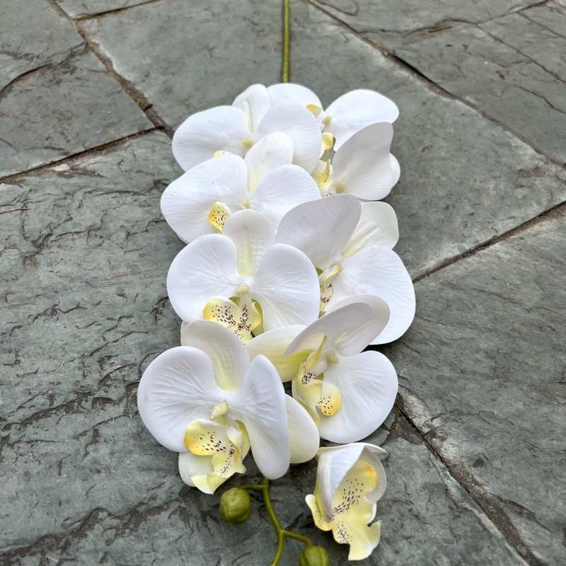 Multi-colored artificial Phalaenopsis orchids with a hand feel