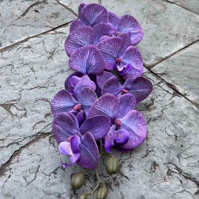 Multi-colored artificial Phalaenopsis orchids with a hand feel