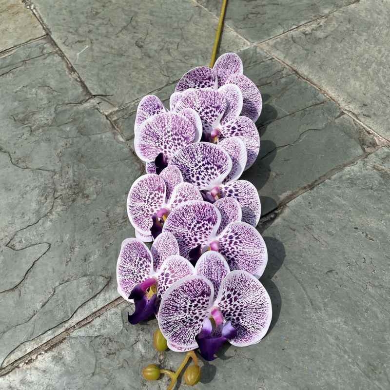 Multi-colored artificial Phalaenopsis orchids with a hand feel