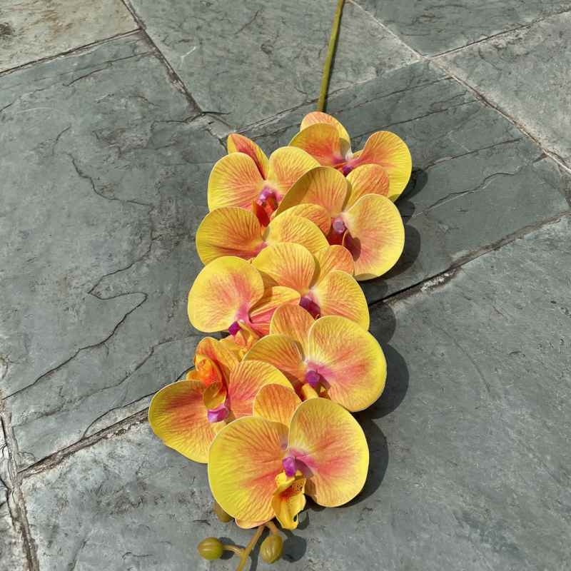 Multi-colored artificial Phalaenopsis orchids with a hand feel